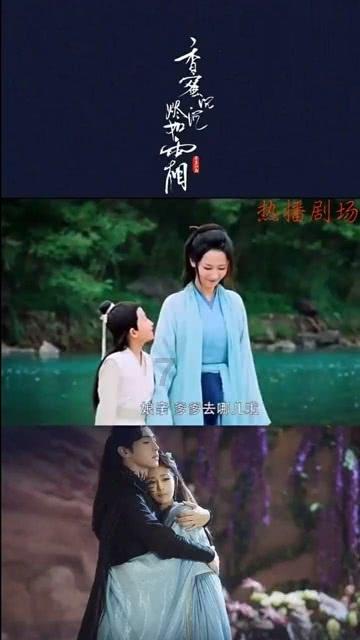 救援狗与猫
