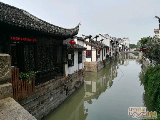 怎样举报老师最有效？游戏画面